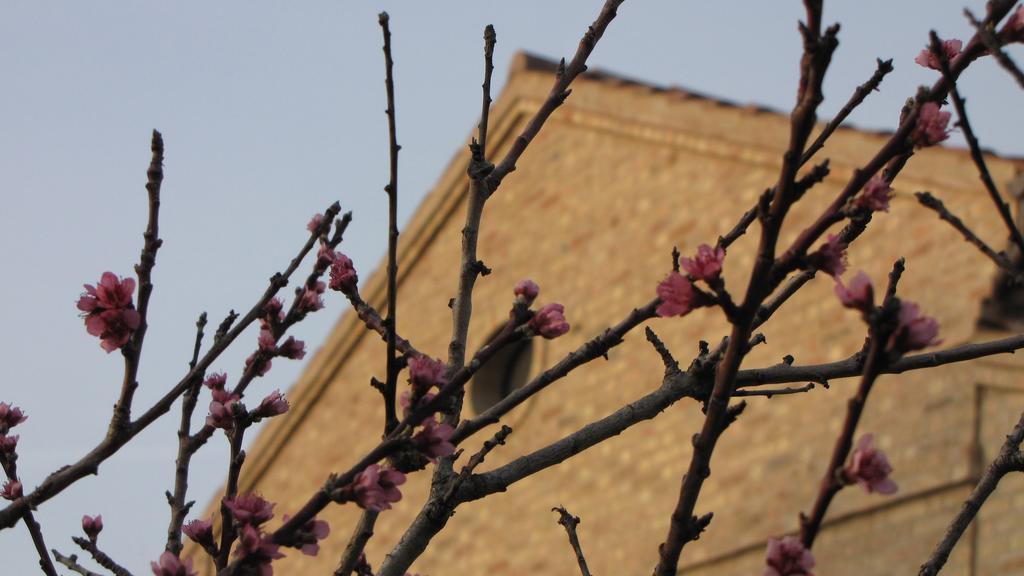 Bed And Breakfast Aratro & Rosmarino Civitanova Marche Luaran gambar