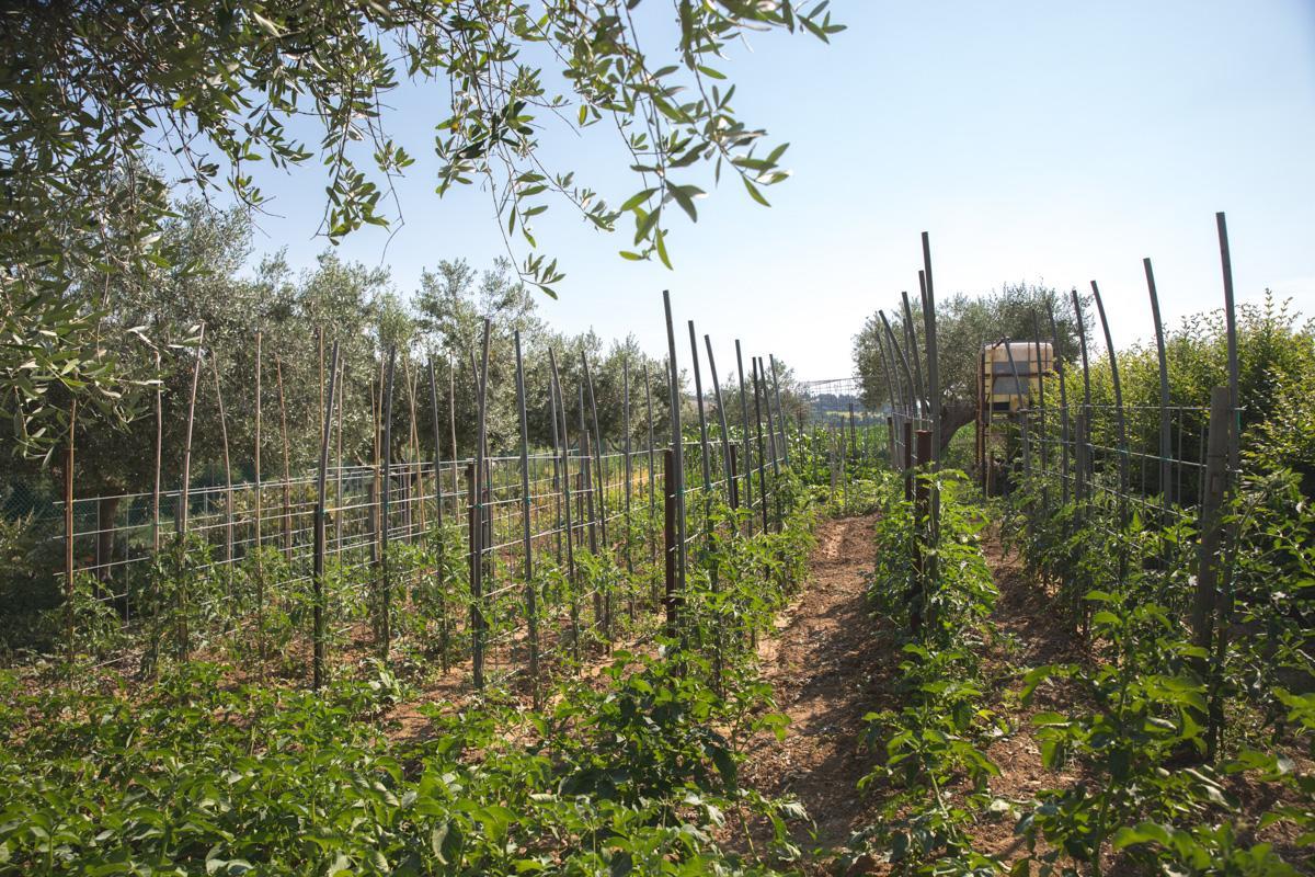 Bed And Breakfast Aratro & Rosmarino Civitanova Marche Luaran gambar